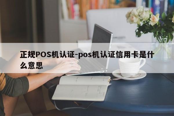 振兴正规POS机认证-pos机认证信用卡是什么意思